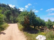Terreno R�stico - A dos Negros, �bidos, Leiria - Miniatura: 2/7