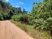 Terreno R�stico - A dos Negros, �bidos, Leiria - Miniatura: 4/7
