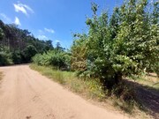 Terreno R�stico - A dos Negros, �bidos, Leiria - Miniatura: 5/7
