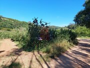 Terreno R�stico - A dos Negros, �bidos, Leiria - Miniatura: 6/7