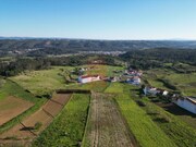 Terreno R�stico - Famalic�o NZR, Nazar�, Leiria - Miniatura: 3/9