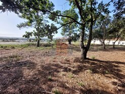 Terreno R�stico - Tornada, Caldas da Rainha, Leiria