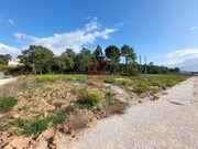 Terreno R�stico - Tornada, Caldas da Rainha, Leiria - Miniatura: 5/9