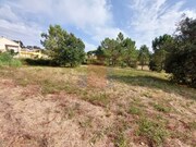 Terreno Rstico - Salir de Matos, Caldas da Rainha, Leiria - Miniatura: 5/9