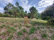 Terreno Rstico - Salir de Matos, Caldas da Rainha, Leiria - Miniatura: 6/9