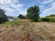 Terreno Rstico - Salir de Matos, Caldas da Rainha, Leiria - Miniatura: 8/9
