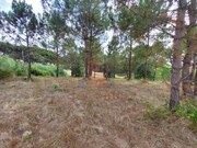 Terreno Rstico - Salir de Matos, Caldas da Rainha, Leiria - Miniatura: 9/9