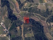 Terreno R�stico - A dos Negros, �bidos, Leiria - Miniatura: 1/9