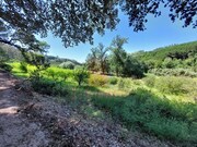 Terreno R�stico - A dos Negros, �bidos, Leiria - Miniatura: 3/9