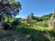 Terreno R�stico - A dos Negros, �bidos, Leiria - Miniatura: 4/9