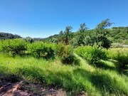Terreno R�stico - A dos Negros, �bidos, Leiria - Miniatura: 6/9