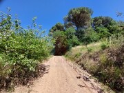 Terreno R�stico - A dos Negros, �bidos, Leiria - Miniatura: 8/9