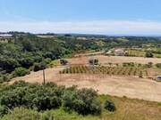 Outros - B�rrio, Alcoba�a, Leiria - Miniatura: 4/7