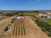 Outros - B�rrio, Alcoba�a, Leiria - Miniatura: 5/7