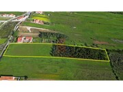 Terreno R�stico - Tornada, Caldas da Rainha, Leiria - Miniatura: 3/9
