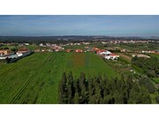 Terreno R�stico - Tornada, Caldas da Rainha, Leiria - Miniatura: 5/9