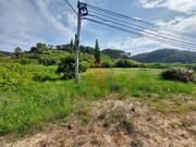 Terreno Rstico - Salir de Matos, Caldas da Rainha, Leiria - Miniatura: 2/9