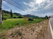 Terreno Rstico - Salir de Matos, Caldas da Rainha, Leiria - Miniatura: 3/9