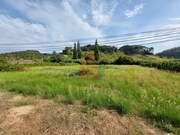 Terreno Rstico - Salir de Matos, Caldas da Rainha, Leiria - Miniatura: 7/9