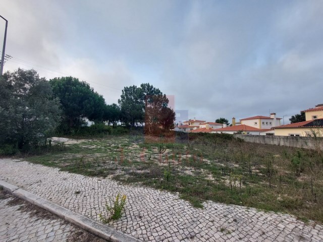 Outros - Nadadouro, Caldas da Rainha, Leiria - Imagem grande