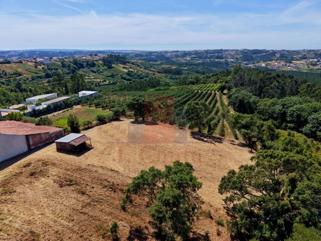 Outros - Vimeiro, Alcoba�a, Leiria - Imagem grande