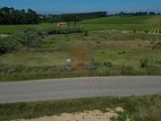Terreno R�stico - Reguengo Grande, Lourinh�, Lisboa - Miniatura: 3/8
