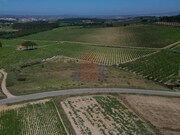 Terreno R�stico - Reguengo Grande, Lourinh�, Lisboa - Miniatura: 4/8