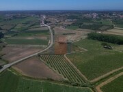 Terreno R�stico - Reguengo Grande, Lourinh�, Lisboa - Miniatura: 5/8