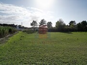 Terreno R�stico - Tornada, Caldas da Rainha, Leiria - Miniatura: 7/9