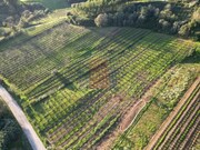 Terreno Rstico - Alvorninha, Caldas da Rainha, Leiria - Miniatura: 4/6