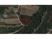 Terreno R�stico - Salir de Matos, Caldas da Rainha, Leiria - Miniatura: 1/9