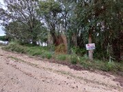 Terreno R�stico - Salir de Matos, Caldas da Rainha, Leiria - Miniatura: 4/9