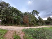 Terreno R�stico - Salir de Matos, Caldas da Rainha, Leiria - Miniatura: 5/9