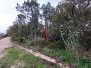 Terreno R�stico - Salir de Matos, Caldas da Rainha, Leiria - Miniatura: 6/9