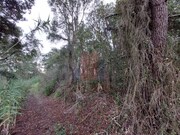 Terreno R�stico - Salir de Matos, Caldas da Rainha, Leiria - Miniatura: 8/9