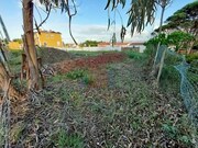 Terreno Rstico - Nadadouro, Caldas da Rainha, Leiria - Miniatura: 3/9