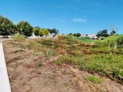 Terreno Rstico - Santa Maria, bidos, Leiria - Miniatura: 5/9