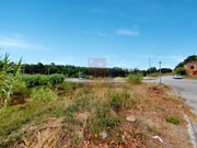 Terreno Rstico - Santa Maria, bidos, Leiria - Miniatura: 7/9