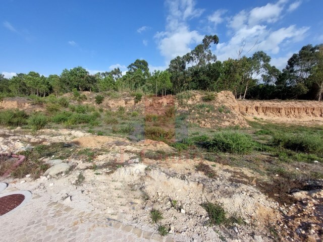 Terreno R�stico - Tornada, Caldas da Rainha, Leiria - Imagem grande