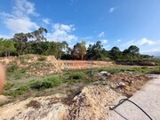 Terreno R�stico - Tornada, Caldas da Rainha, Leiria - Miniatura: 2/9