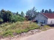 Terreno Rstico - Salir de Matos, Caldas da Rainha, Leiria - Miniatura: 7/9