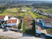Terreno R�stico - Famalic�o NZR, Nazar�, Leiria - Miniatura: 3/9