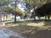 Terreno Urbano - Vau, bidos, Leiria - Miniatura: 3/9