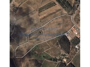 Terreno Urbano - Carvalhal, Bombarral, Leiria - Miniatura: 2/9