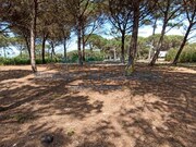 Terreno Urbano - Vau, bidos, Leiria - Miniatura: 2/9