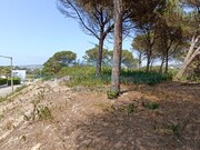 Terreno Urbano - Vau, bidos, Leiria - Miniatura: 4/9