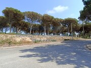 Terreno Urbano - Vau, bidos, Leiria - Miniatura: 6/9