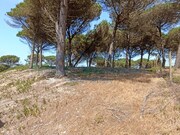 Terreno Urbano - Vau, bidos, Leiria - Miniatura: 8/9