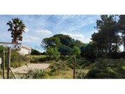 Terreno Urbano - Vau, bidos, Leiria - Miniatura: 2/5
