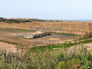 Terreno Urbano - Amoreira, bidos, Leiria - Miniatura: 9/9